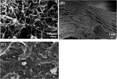 Softwood Kraft Pulp-Derived Carbon-Supported PtNi Catalysts for the Electrooxidation of Ethanol